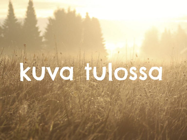 nettisivuille-kuva-tulossa.jpg