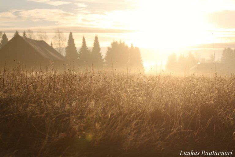 nettisivuille-loimaan-kylät-luukas-rautavuori.jpg