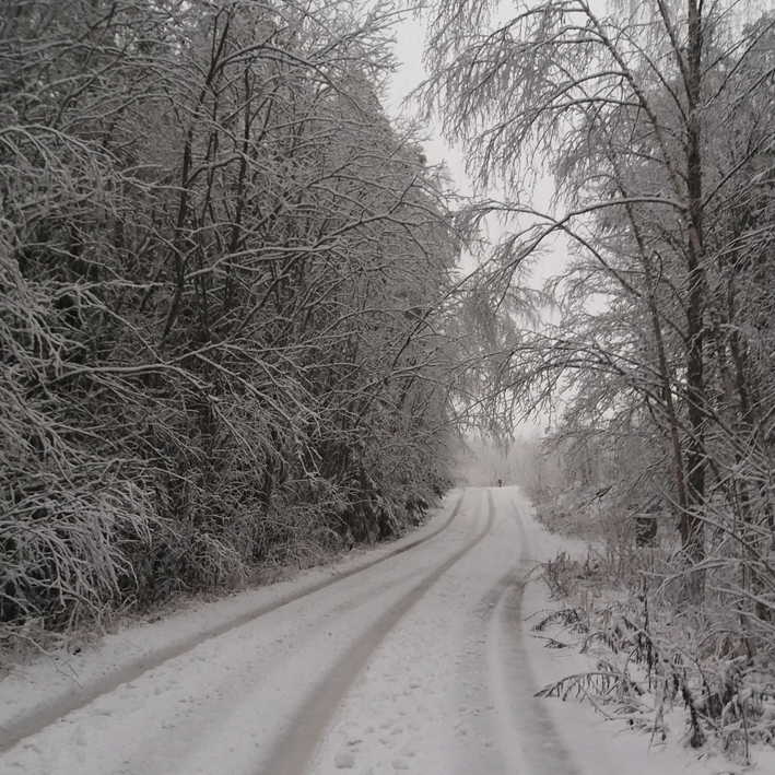 nettisivujen kuvat mellilä talvi markku haanpää