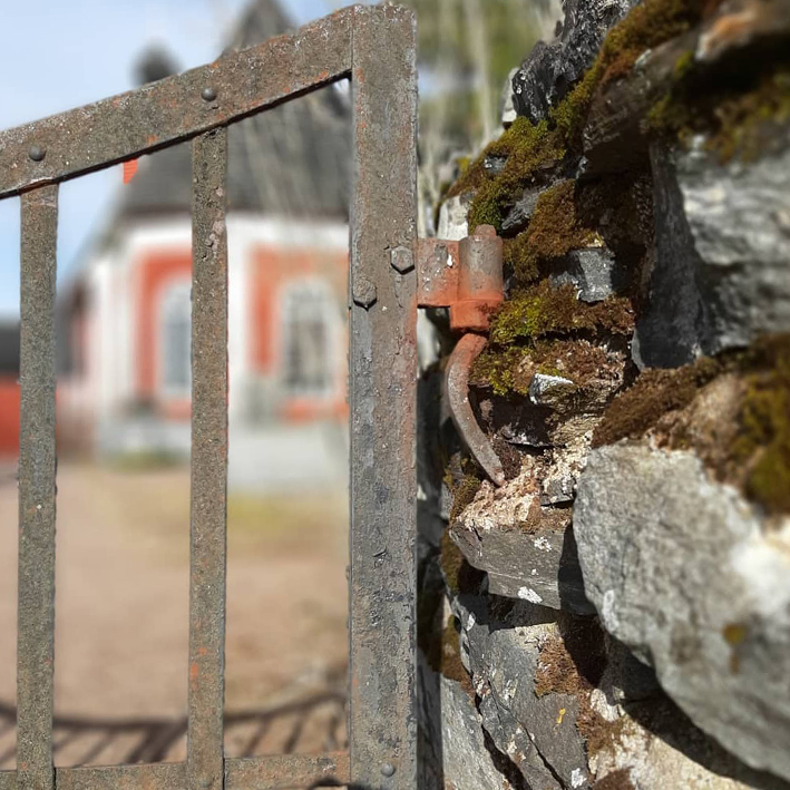 nettisivujen kuvat metsämaa portti