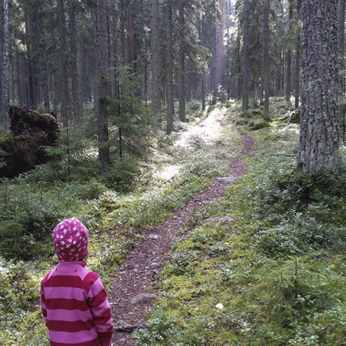 nettisivujen kuvat metsämaa sanna ylösmäki
