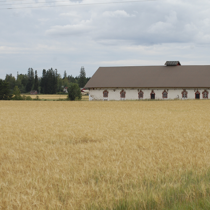 Aittamäen Savinavetta 2018